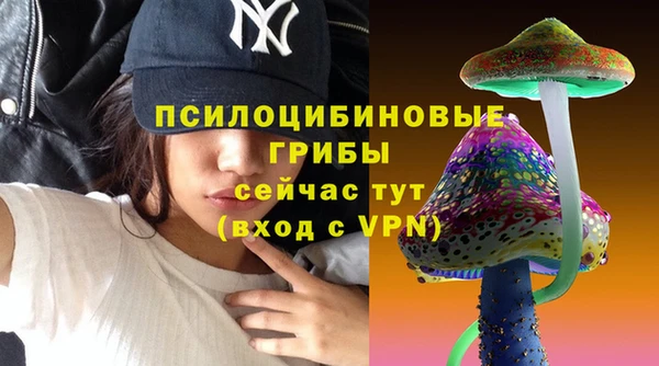 экстази Переславль-Залесский