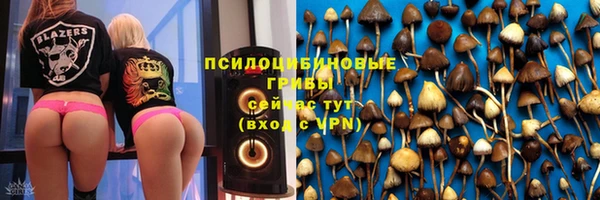 соль курить ск Пересвет