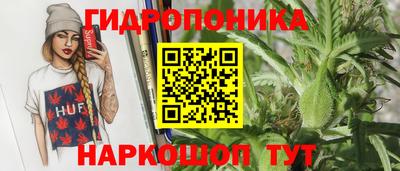 стафф Будённовск