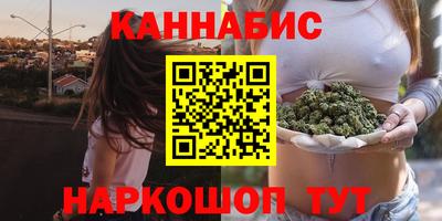 стафф Будённовск