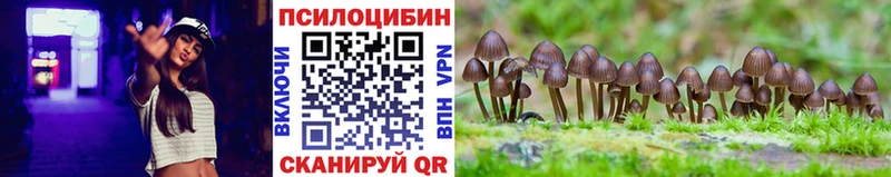 Псилоцибиновые грибы Psilocybine cubensis  Выборг 