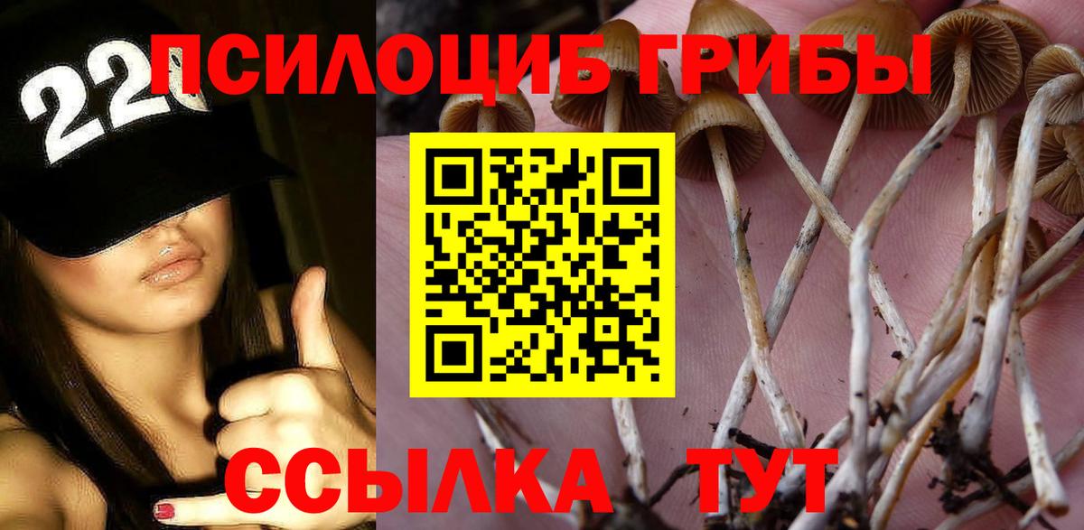 Псилоцибиновые грибы мухоморы Выборг