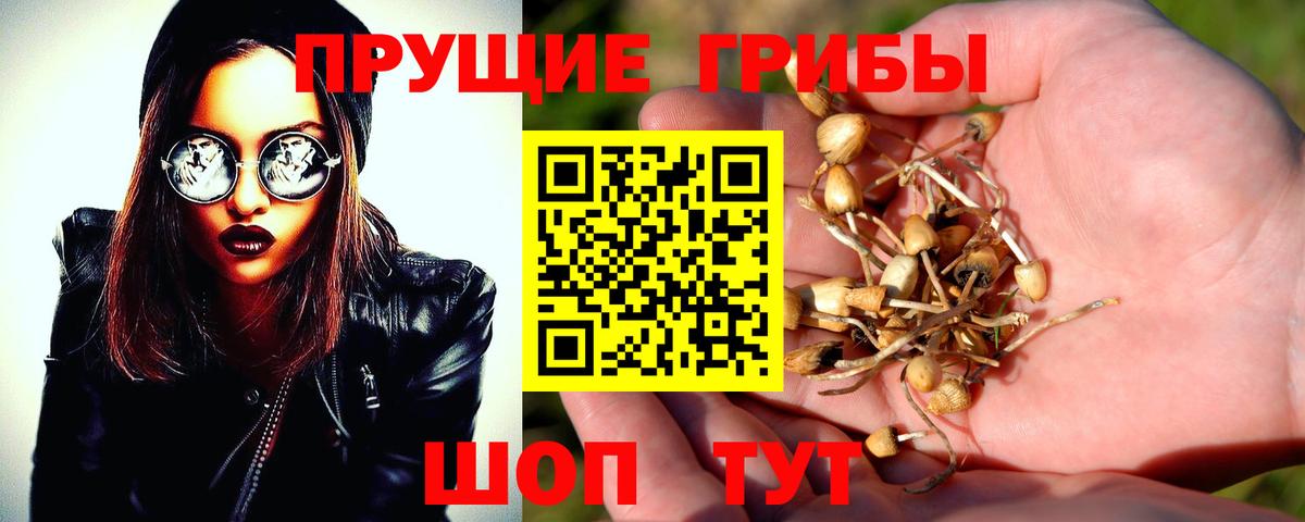 Псилоцибиновые грибы MAGIC MUSHROOMS Выборг