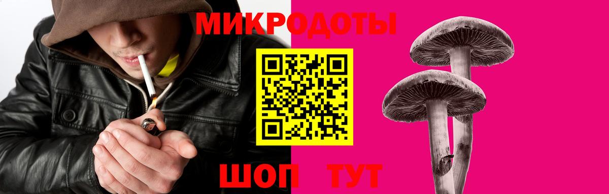 Галлюциногенные грибы Psilocybine cubensis  наркотики  Вход с VPN  Выборг  Псилоцибиновые грибы MAGIC MUSHROOMS 